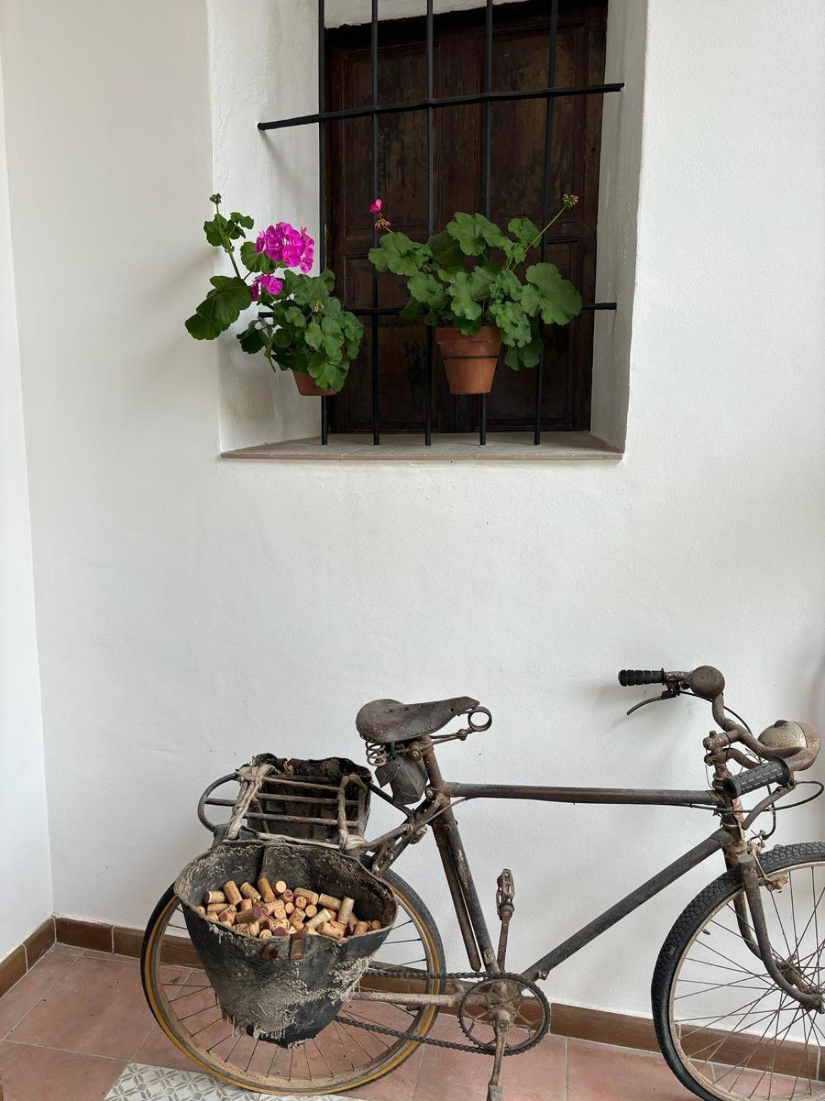 Art Boutique La Casona De Las Flores Ondara Dış mekan fotoğraf